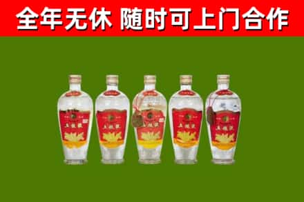 东莞烟酒回收公斤五粮液.jpg