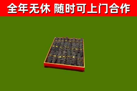 东莞回收海参